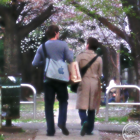 Broiled cutlet on a skewer