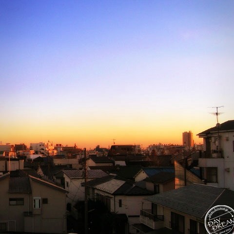 The first Star to come out