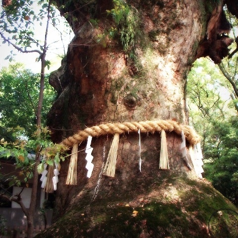 Inevitable or chance. 