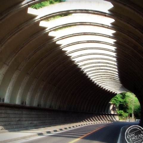 Promenade at early summer