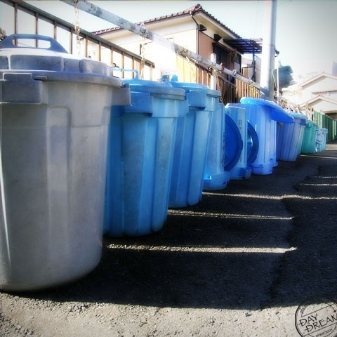 One that lurks in trash