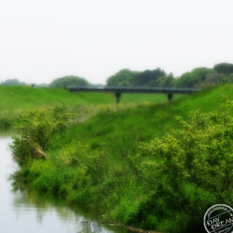 The Green hill and river and bridge