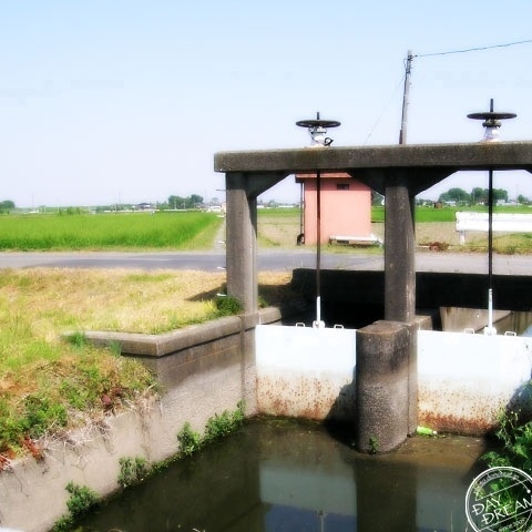 Little dam of the country