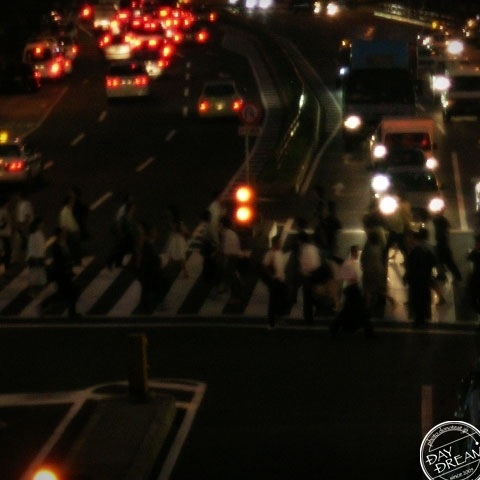 The seventh night of July