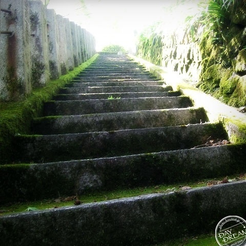 Summer on the stairs