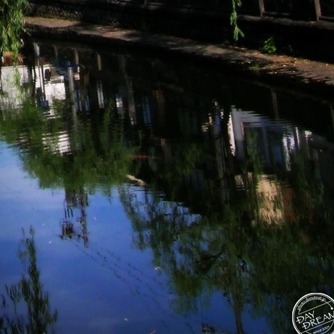 Daughter in dumpling shop