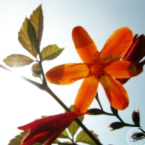 Inspection party of autumn