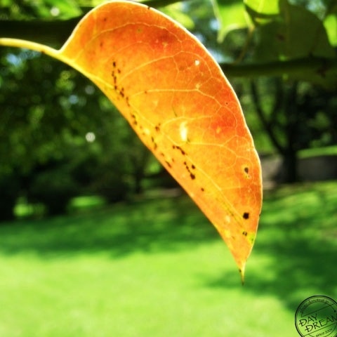 Hasty person blushes