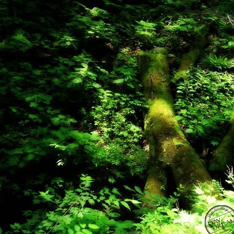 Footprint of KAWATARO