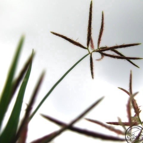 After fireworks of fireworks