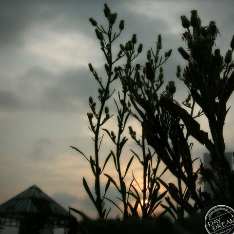 Sunset of autumn is rapidly