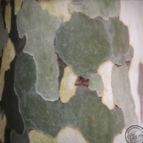 New fashion of autumn