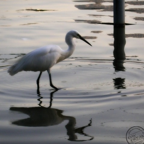 Careless by hasty conclusion