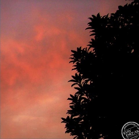 Peach color on the way home