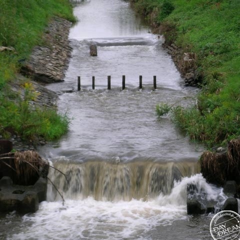 A rest of The cool seven