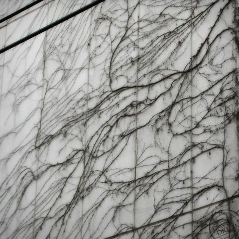 Map drawing on white wall