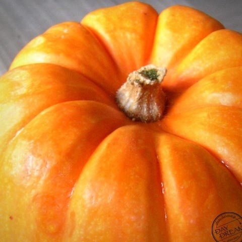 Happy Happy Halloween