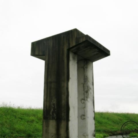 Life with new bridge