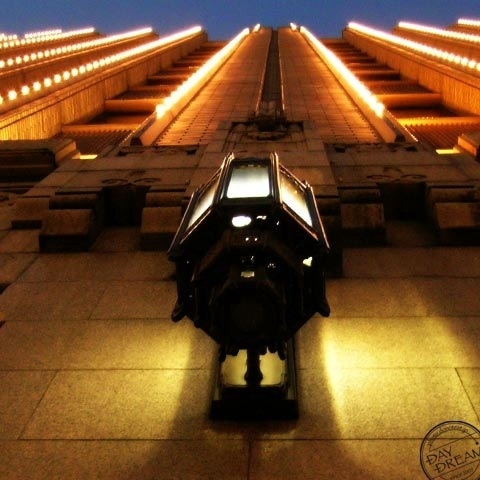 Midnight party of moth