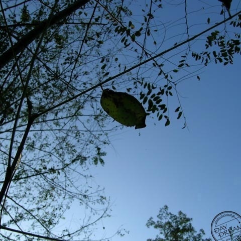 He is not lonesome but solitary