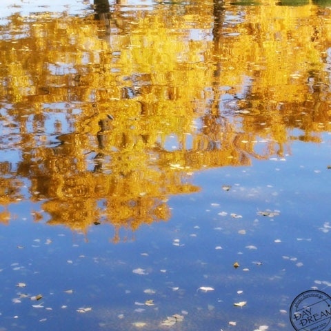 Mixes yellow plus blue