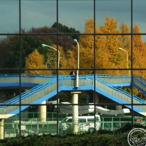 Boy in the distorted mirror world