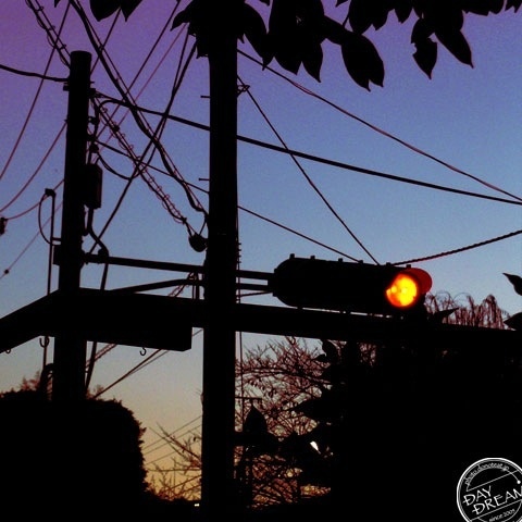 The mama does not scold