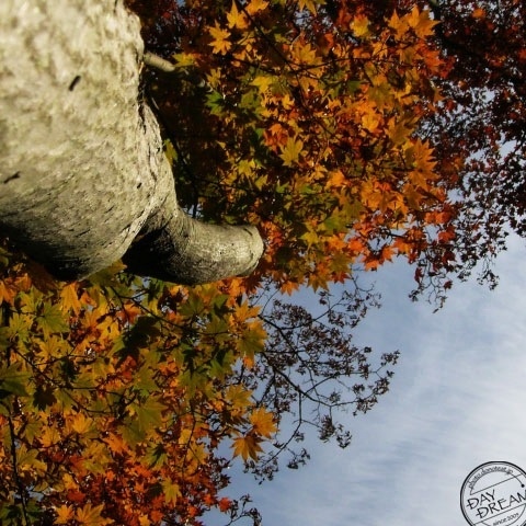 He who touches pitch shall be defiled