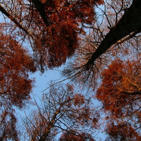 Doze off on mountain path