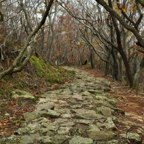 She witched to the road