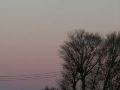 The sky in the purple east 2006/01/08 The sky in the purple east