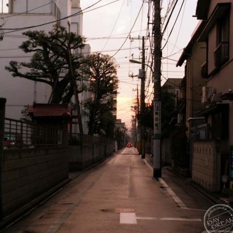 Morning haze of midwinter