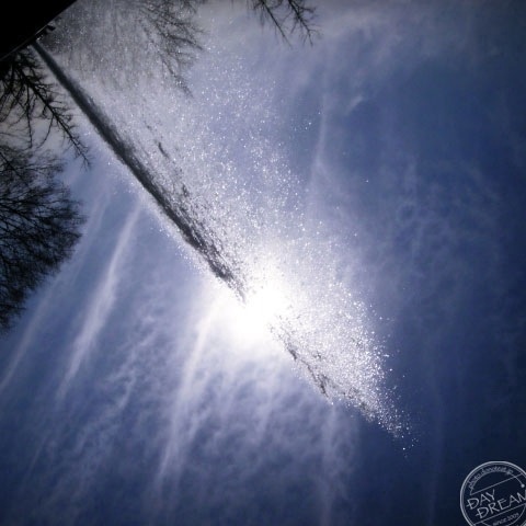 The flying whale came