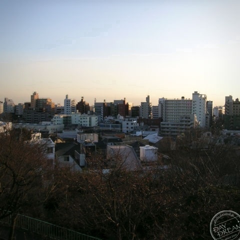 No one has loved any longer