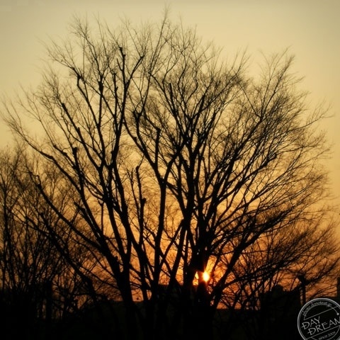 West sky to good bye