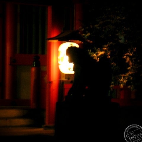 Sheltering at night of early spring