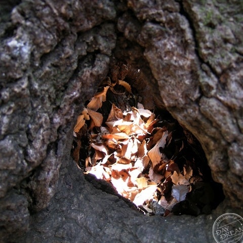 Stockroom for winter