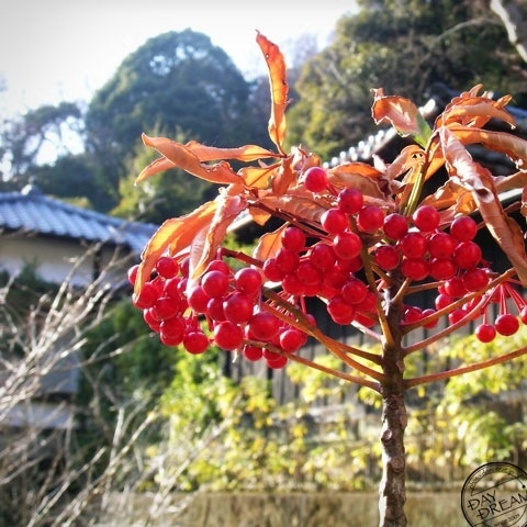 On the way on old mountain path