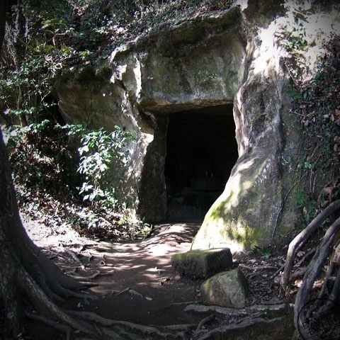 Troll is energetic today Troll is energetic today