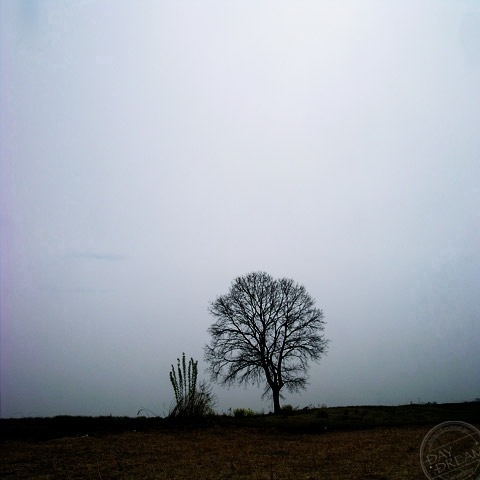 Thunder at the beginning of spring