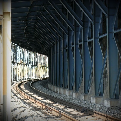 Charcoal truck goes today