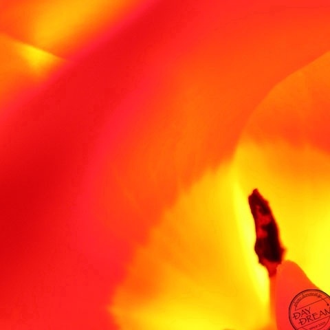 Passionate and coquettish and sexy