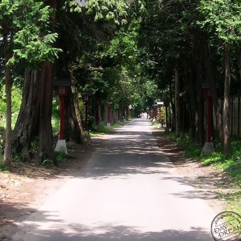 Baby procession festival