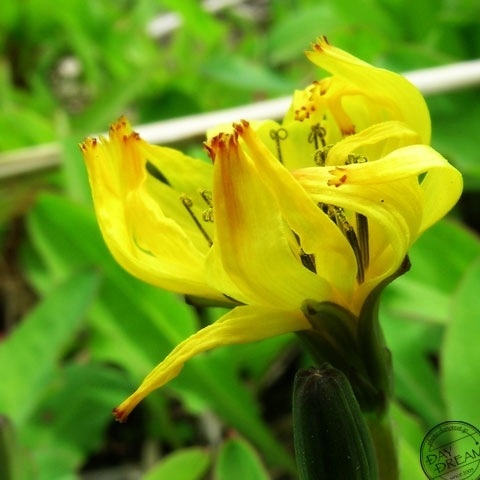 I take shelters from rain in bus stop
