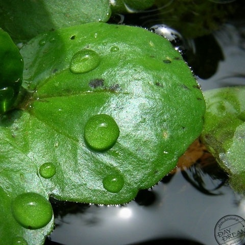 Parting gift of heavy rain