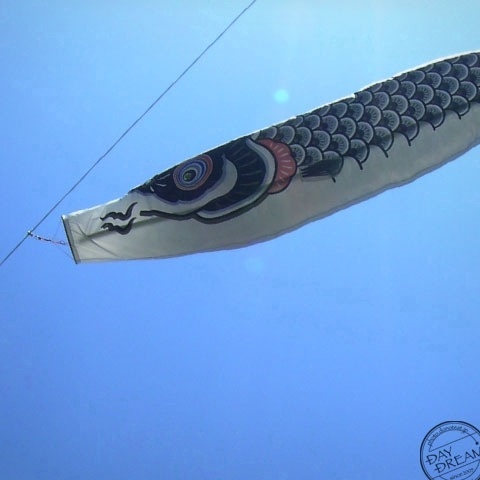 In the strong south wind