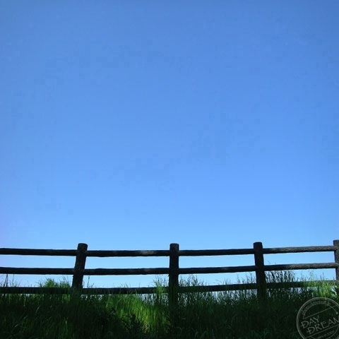 The cow that ran away came back