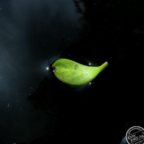 Floats on a deep puddle