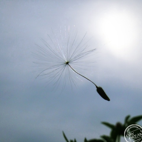 The youngest child is a spoilt child