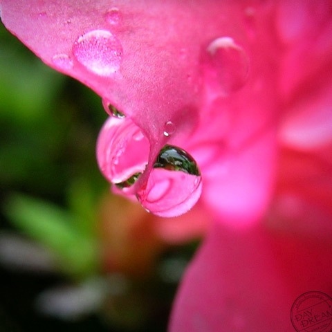 How do you do tonight?